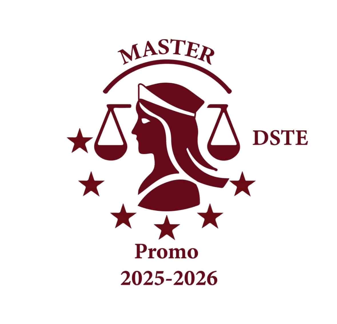 Logo du DSTE